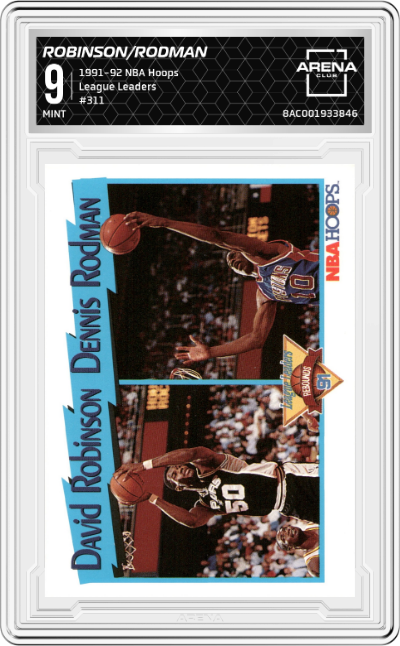 David Robinson/Dennis Rodman