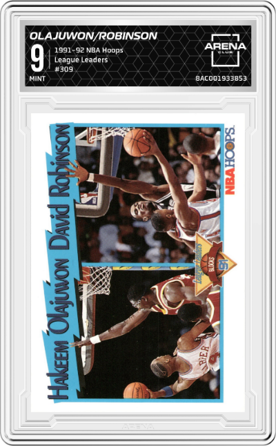Hakeem Olajuwon / David Robinson