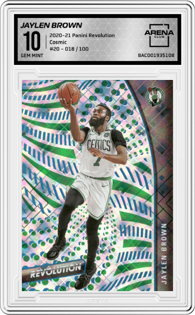 Jaylen Brown