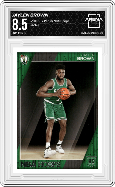 Jaylen Brown