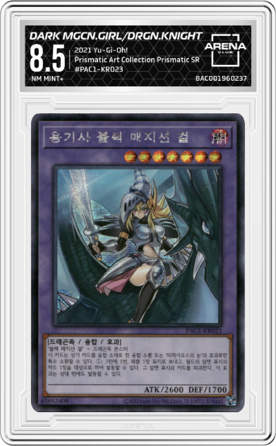 Dark Magician Girl the Dragon Knight