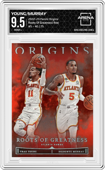 Trae Young/Dejounte Murray