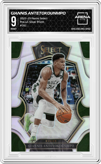 Giannis Antetokounmpo 