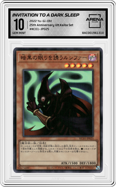 Invitation to a Dark Sleep