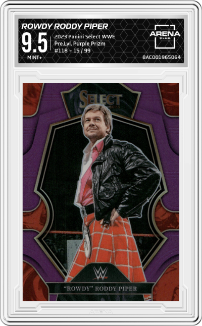Rowdy Roddy Piper