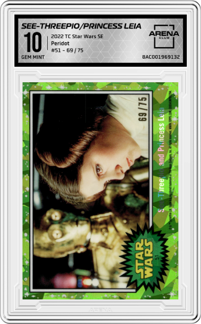 See-Threepio/Princess Leia