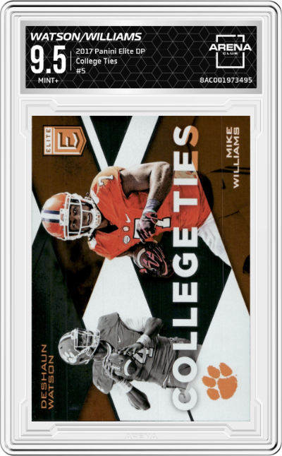 Deshaun Watson/Mike Williams