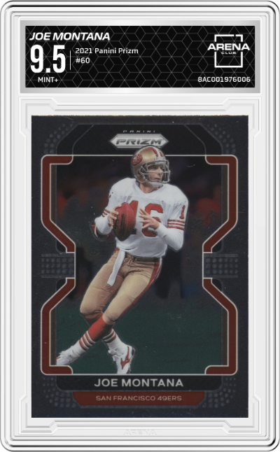 Joe Montana