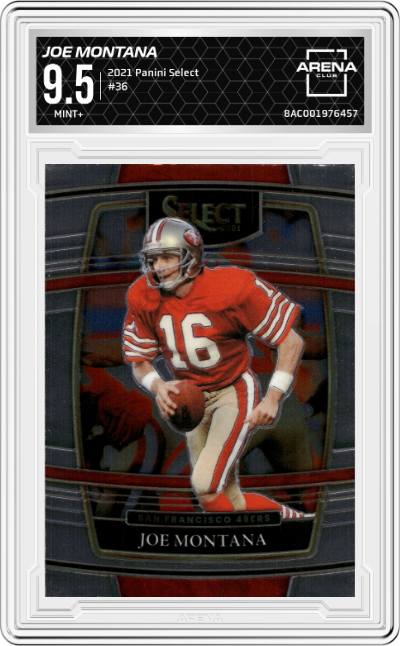 Joe Montana
