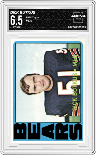 Dick Butkus