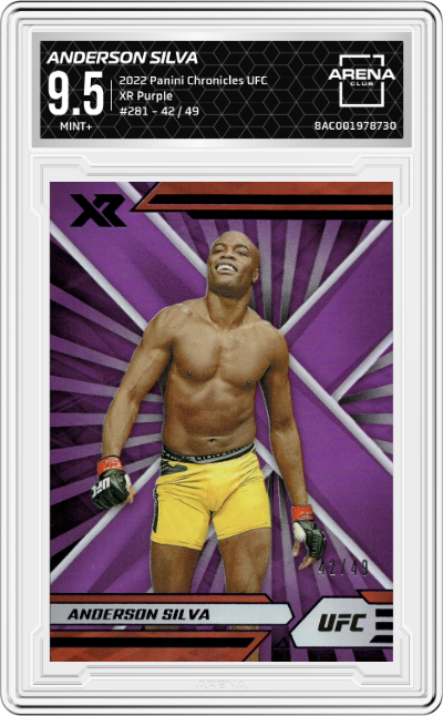 Anderson Silva