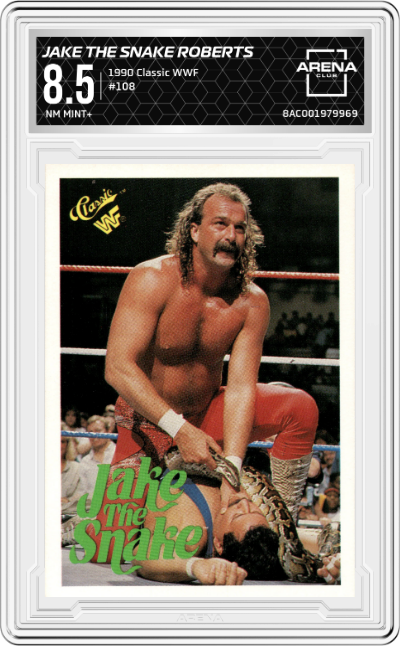 Jake The Snake Roberts
