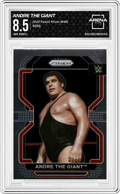 Andre The Giant