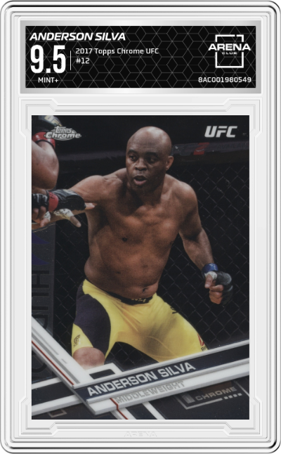 Anderson Silva