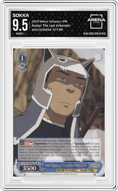 Sokka: Warrior of the Southern Water Tribe