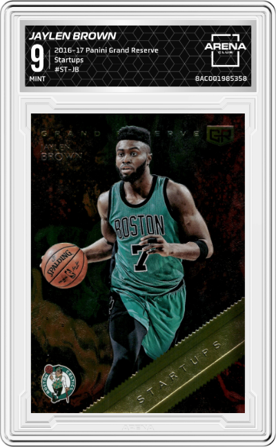Jaylen Brown