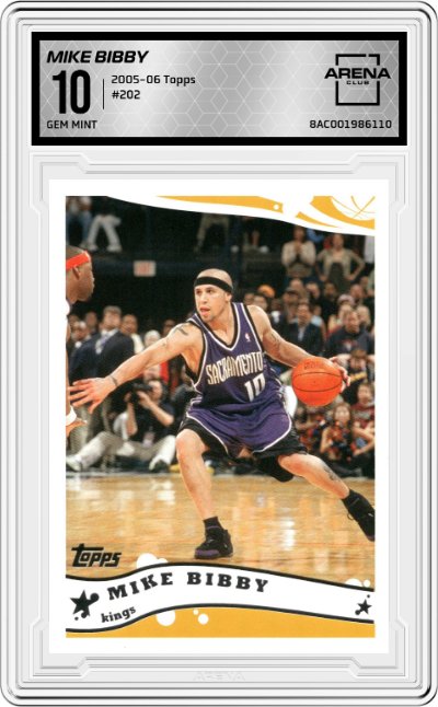 Mike Bibby