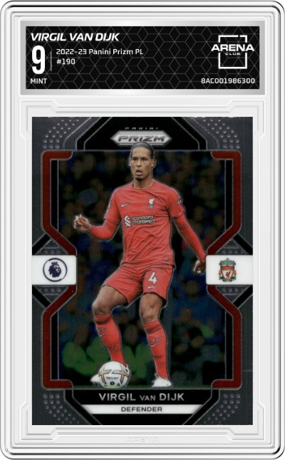 Virgil van Dijk