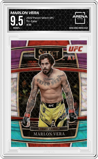 Marlon Vera