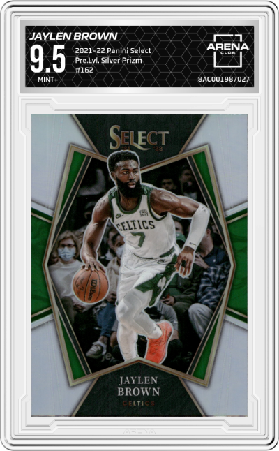 Jaylen Brown