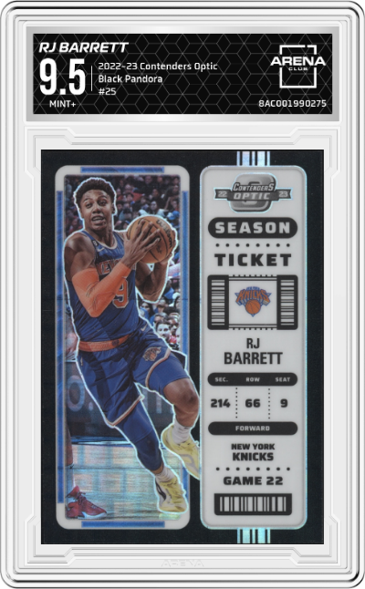 RJ Barrett