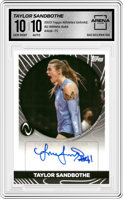 Taylor Sandbothe