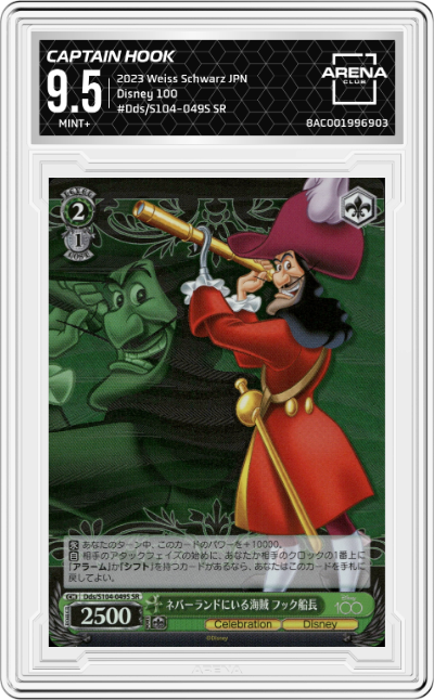 Pirates in Neverland Captain Hook