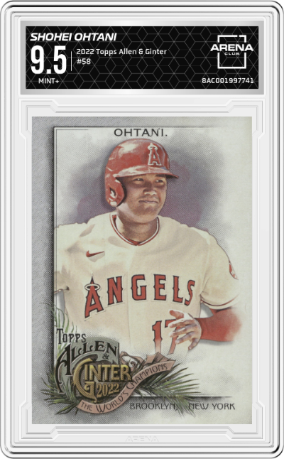 Shohei Ohtani
