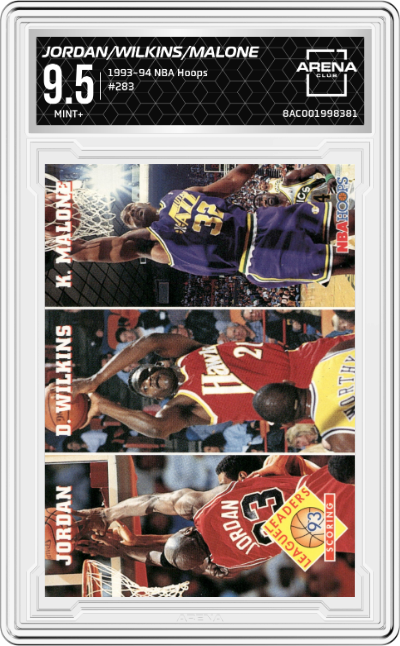 Michael Jordan/Dominique Wilkins/Karl Malone