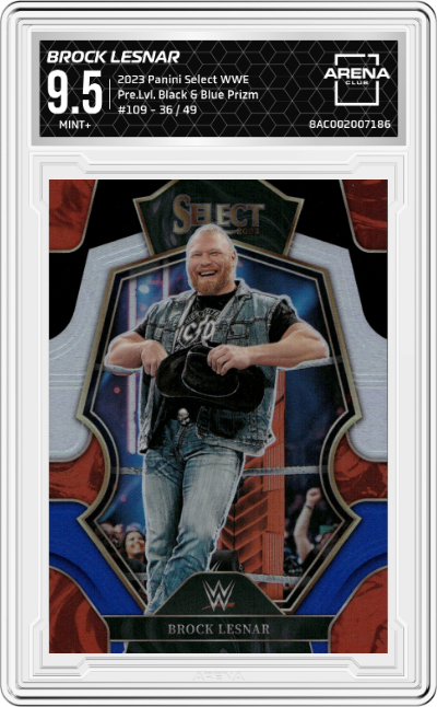  Brock Lesnar 