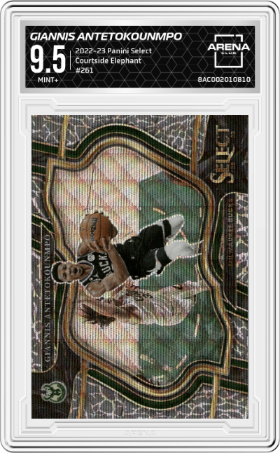 Giannis Antetokounmpo