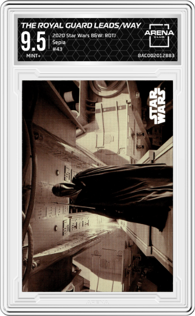 The Royal Guard Leads the Way