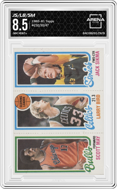 Scott May/Larry Bird/Jack Sikma