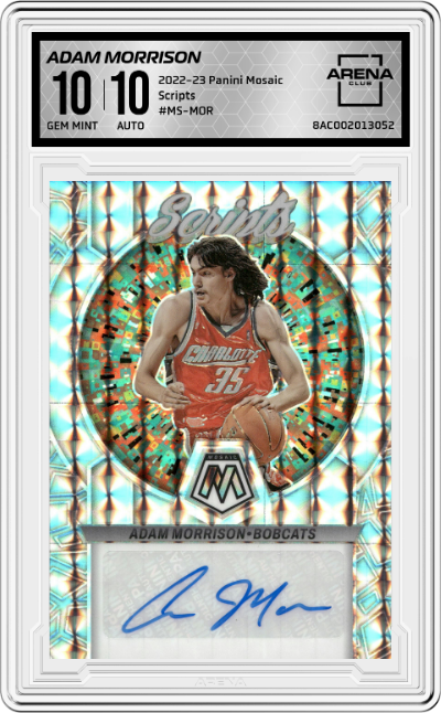 Adam Morrison 