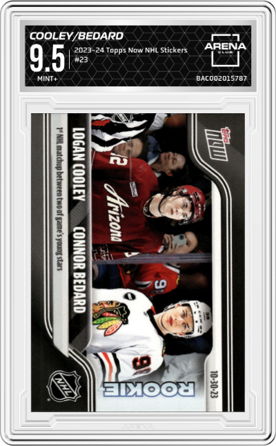 Logan Cooley/Connor Bedard