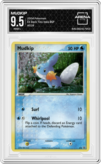 Mudkip