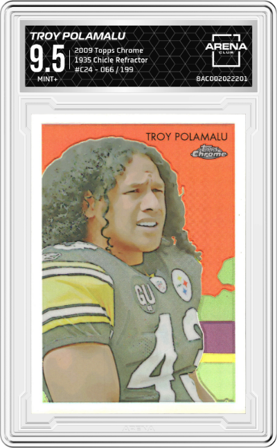 Troy Polamalu