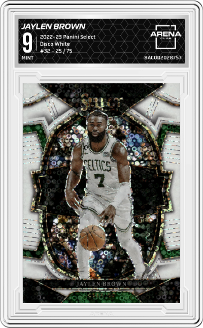 Jaylen Brown