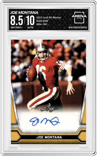 Joe Montana