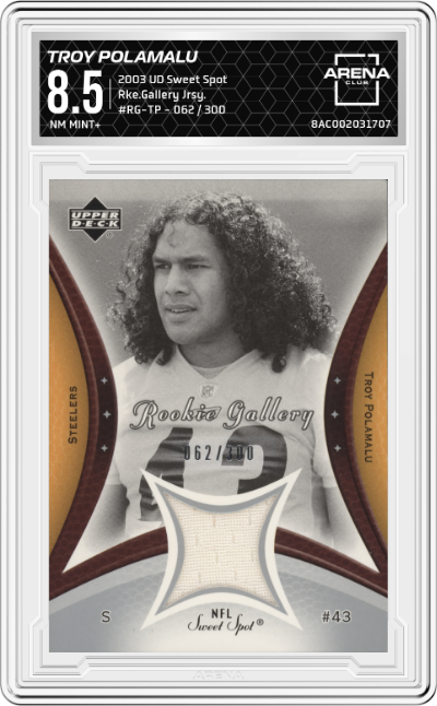 Troy Polamalu