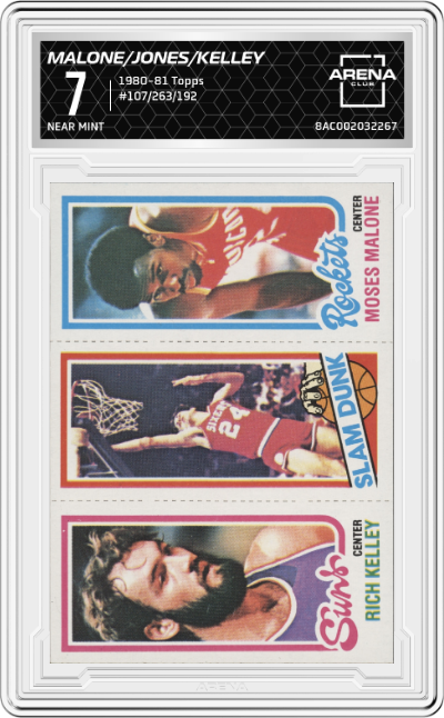 Moses Malone/Bobby Jones/Rich Kelley