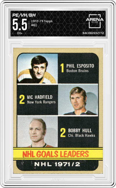 Phil Esposito/Vic Hadfield/Bobby Hull