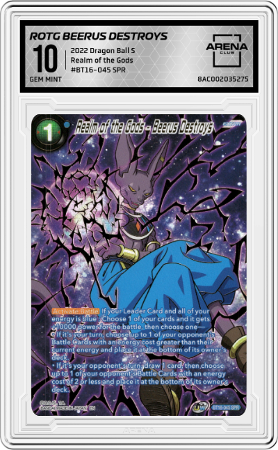 Realm of the Gods Beerus Destroys