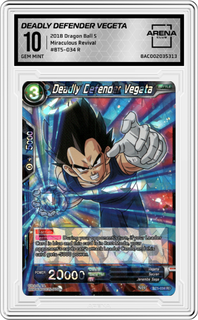 Deadly Defender Vegeta