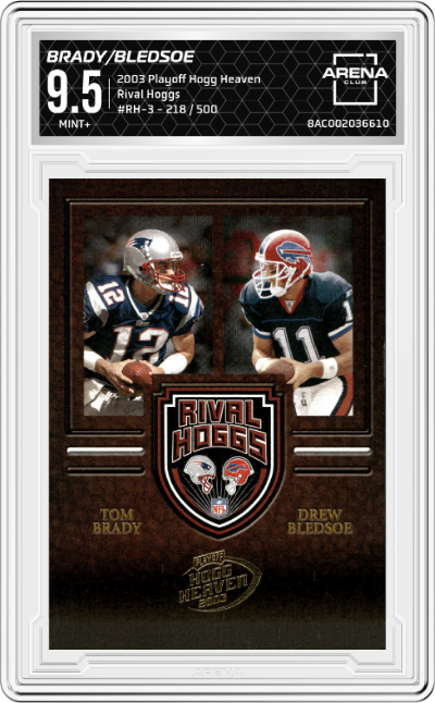 Tom Brady/Drew Bledsoe