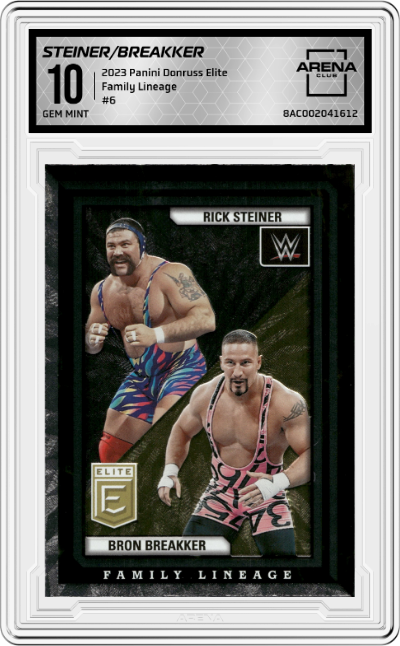 Rick Steiner/Bron Breakker