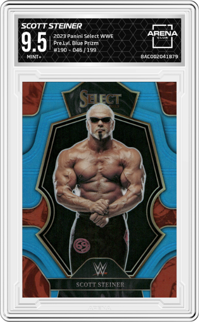 Scott Steiner