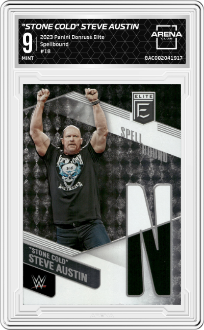 "Stone Cold" Steve Austin