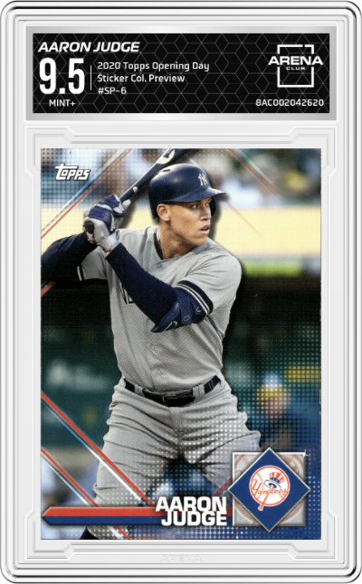 Aaron Judge