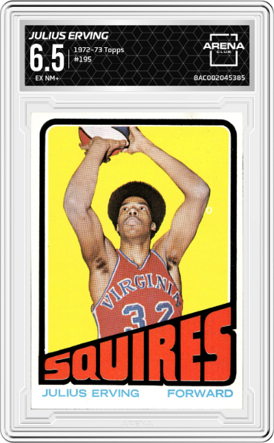Julius Erving